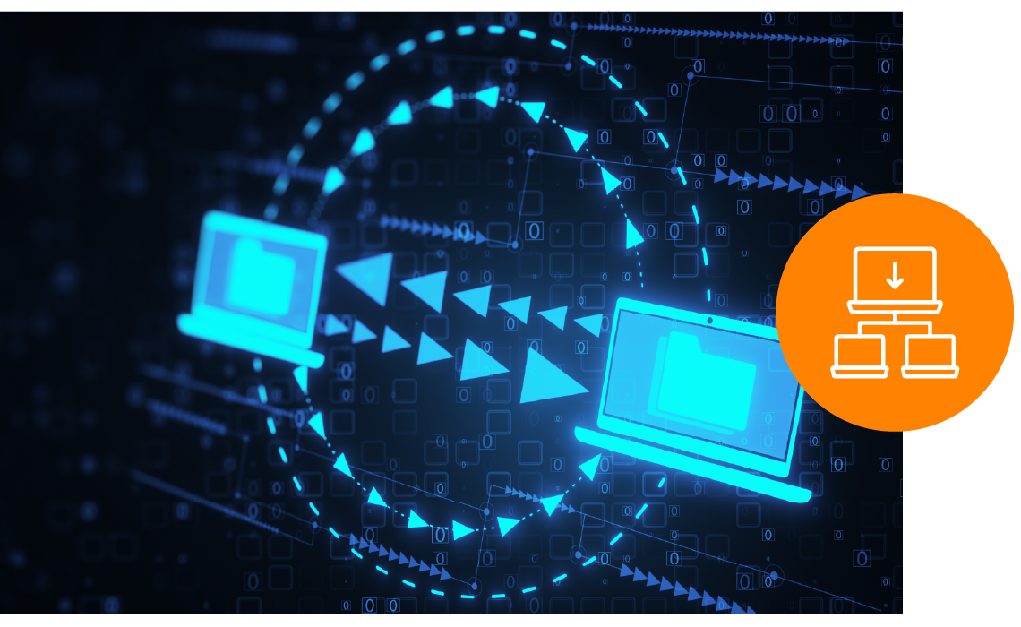 Legacy Application Migration & Support